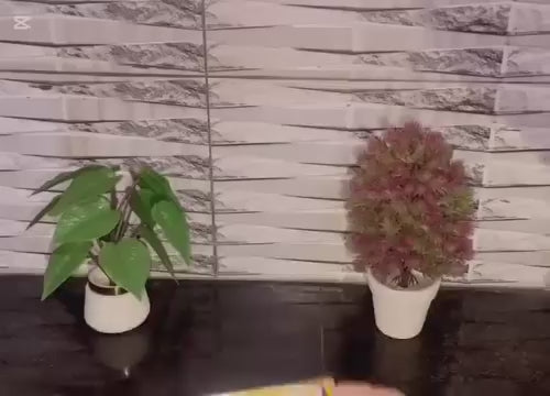 Cialis Gold Made in Uk